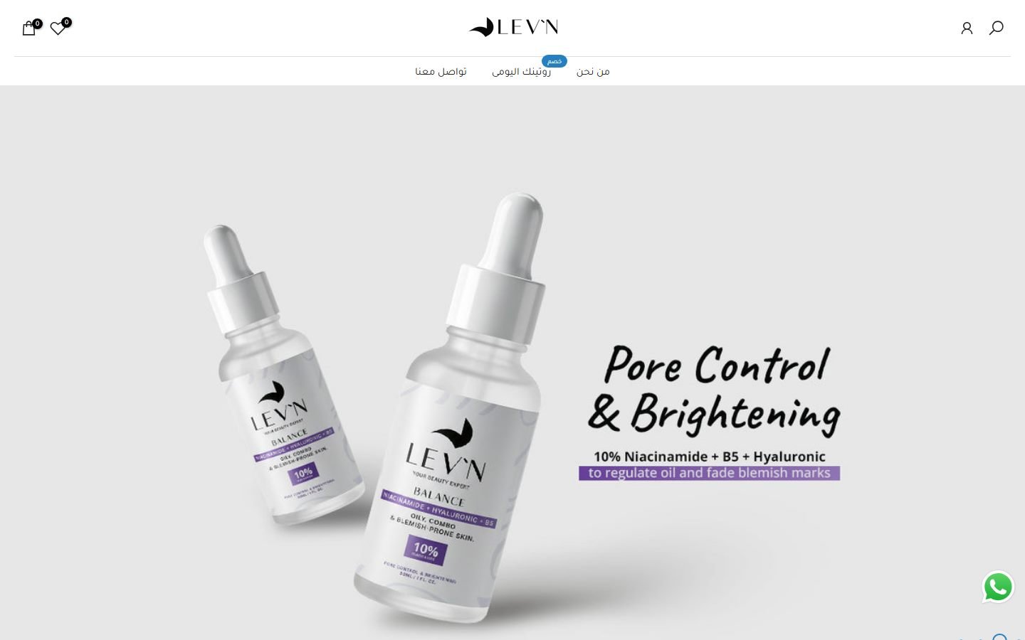 LEV-N website screenshot
