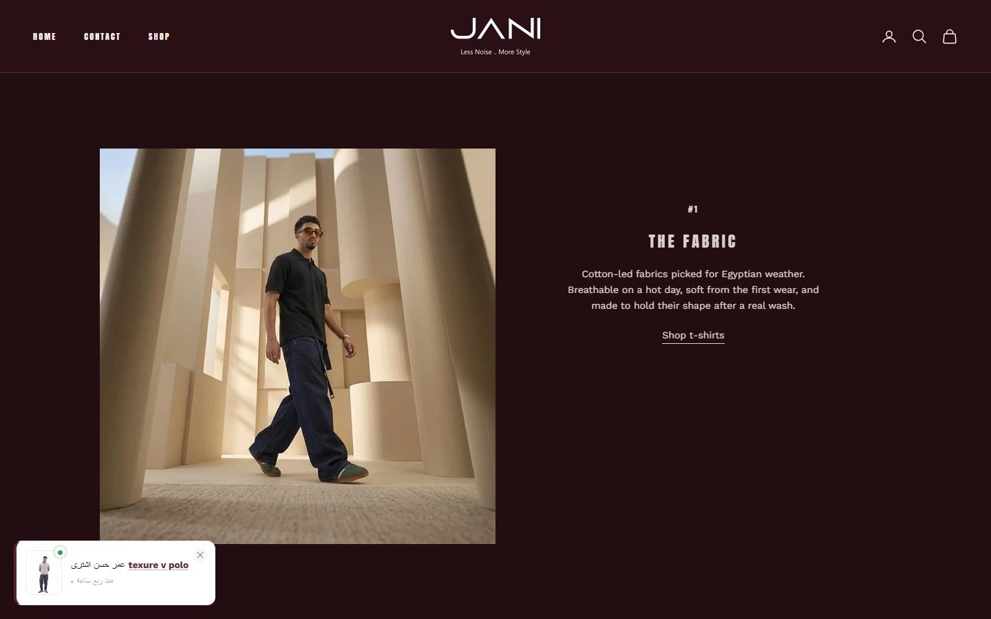 Jani Store website screenshot