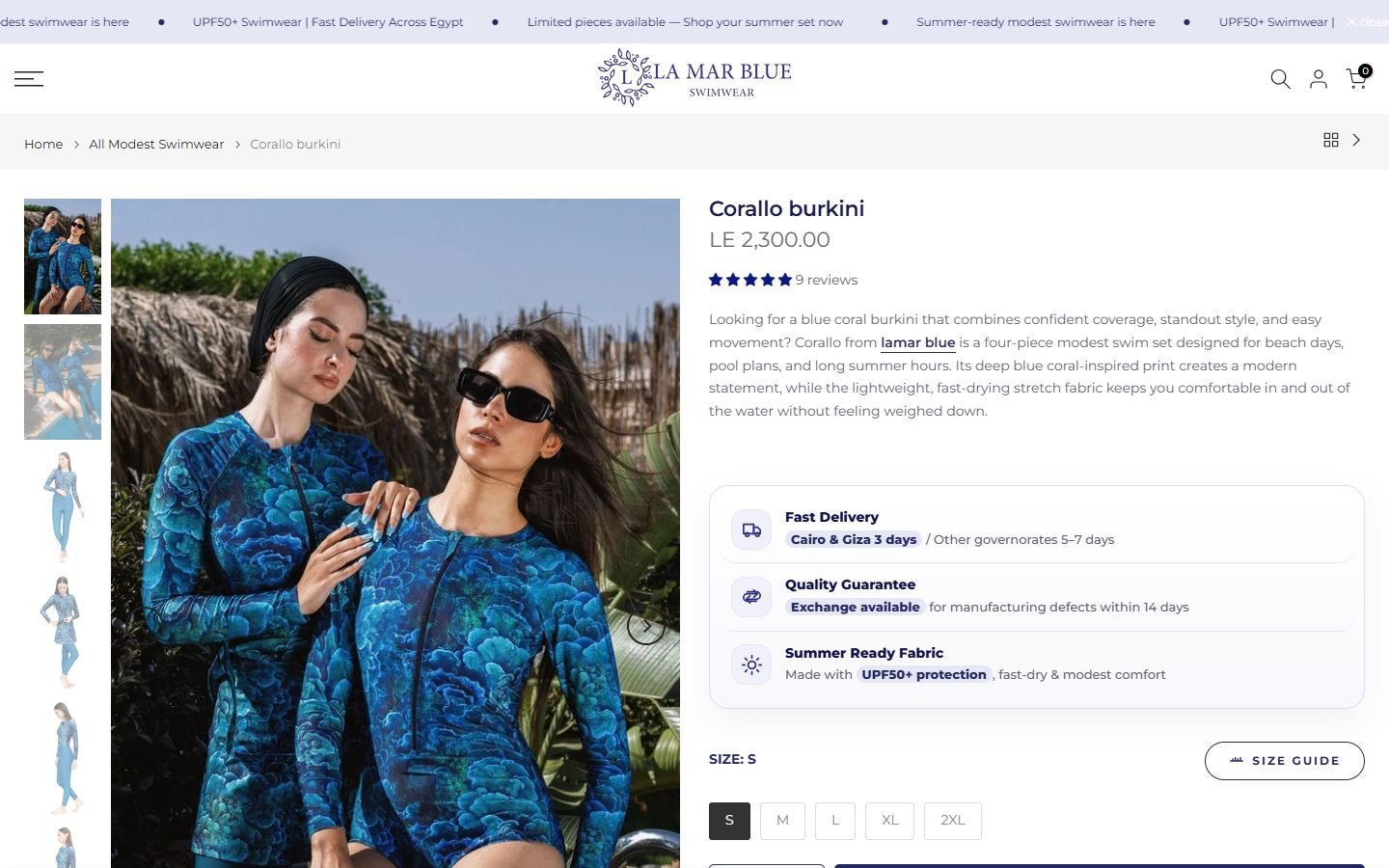 Lamar Blue website screenshot