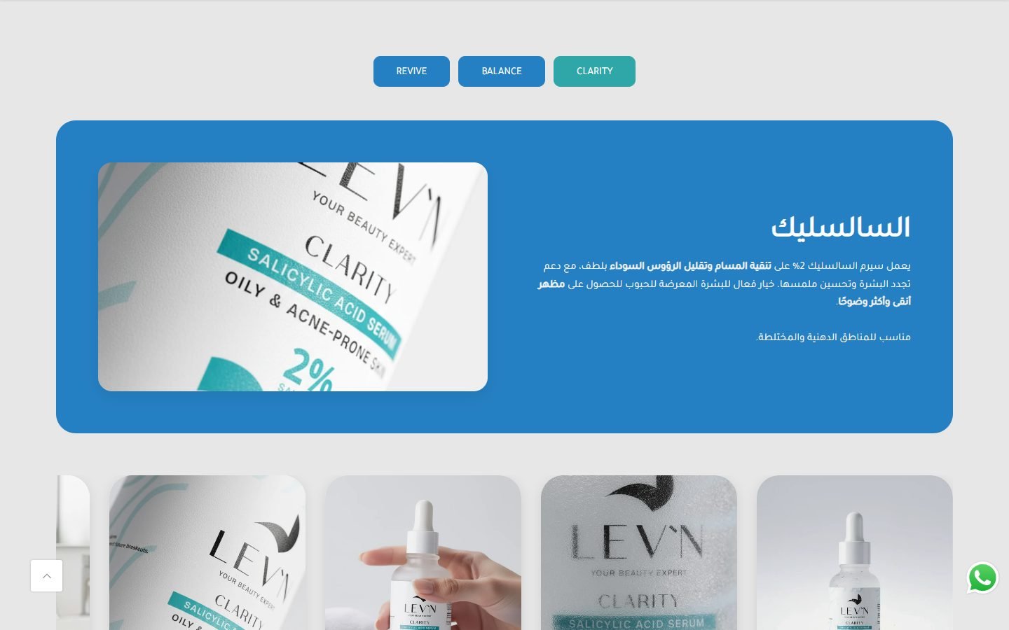 LEV-N website screenshot